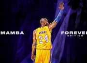 开云APP-铁血热火强势晋级，公牛西决生死战遗憾折戟