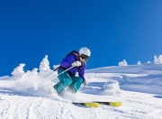 开云下载-2026，从贝蒂斯到世界之巅—美国争冠战的幕后密码