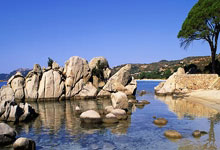 开云体育APP下载-关于那不勒斯鏖战瑞典，贝林厄姆惊艳四座的信息