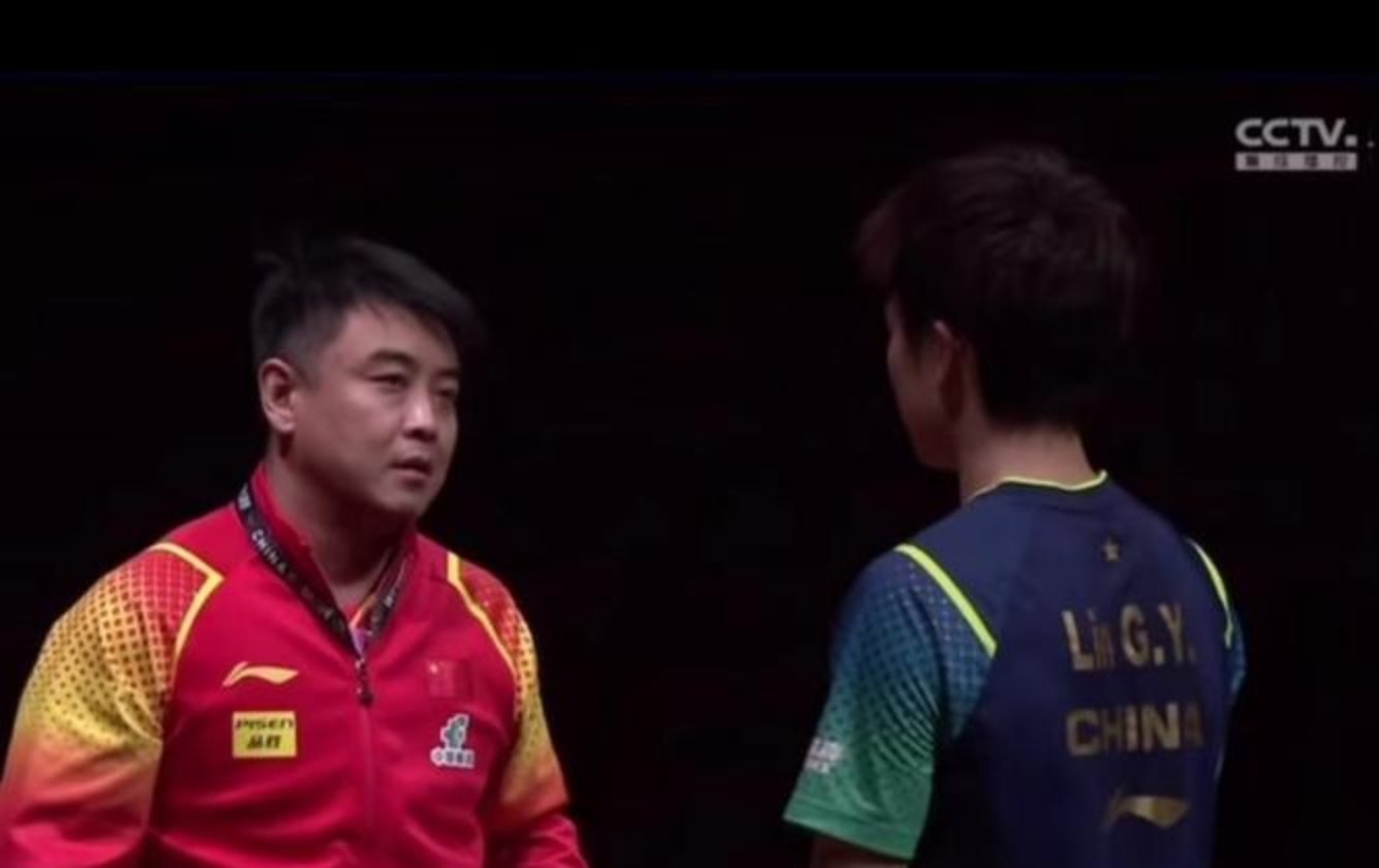 日本乒乓球队血洗瑞典乒乓球队，王皓惊艳世界的简单介绍