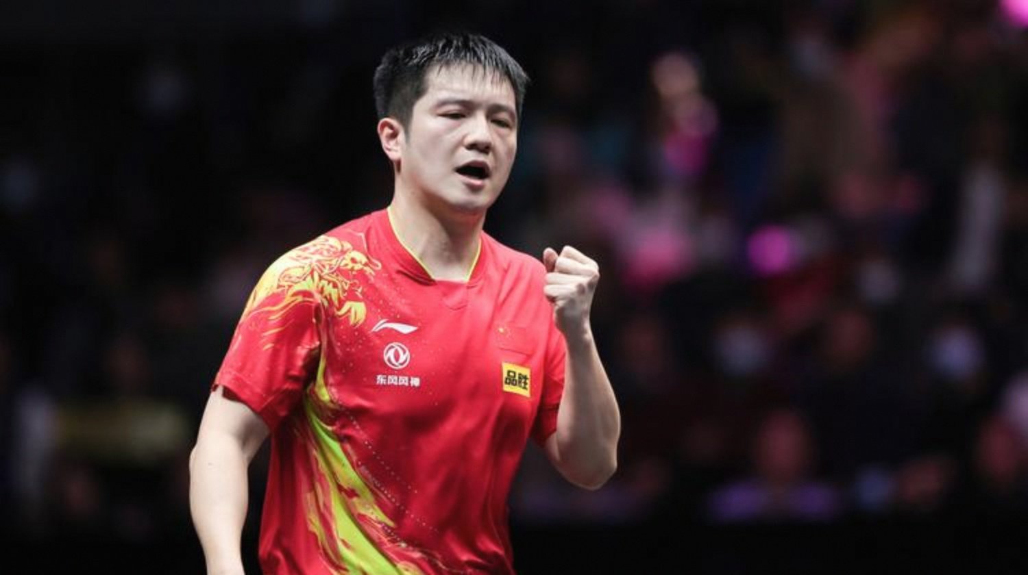 关于波兰乒乓球队绝杀法国乒乓球队，樊振东关键制胜的信息