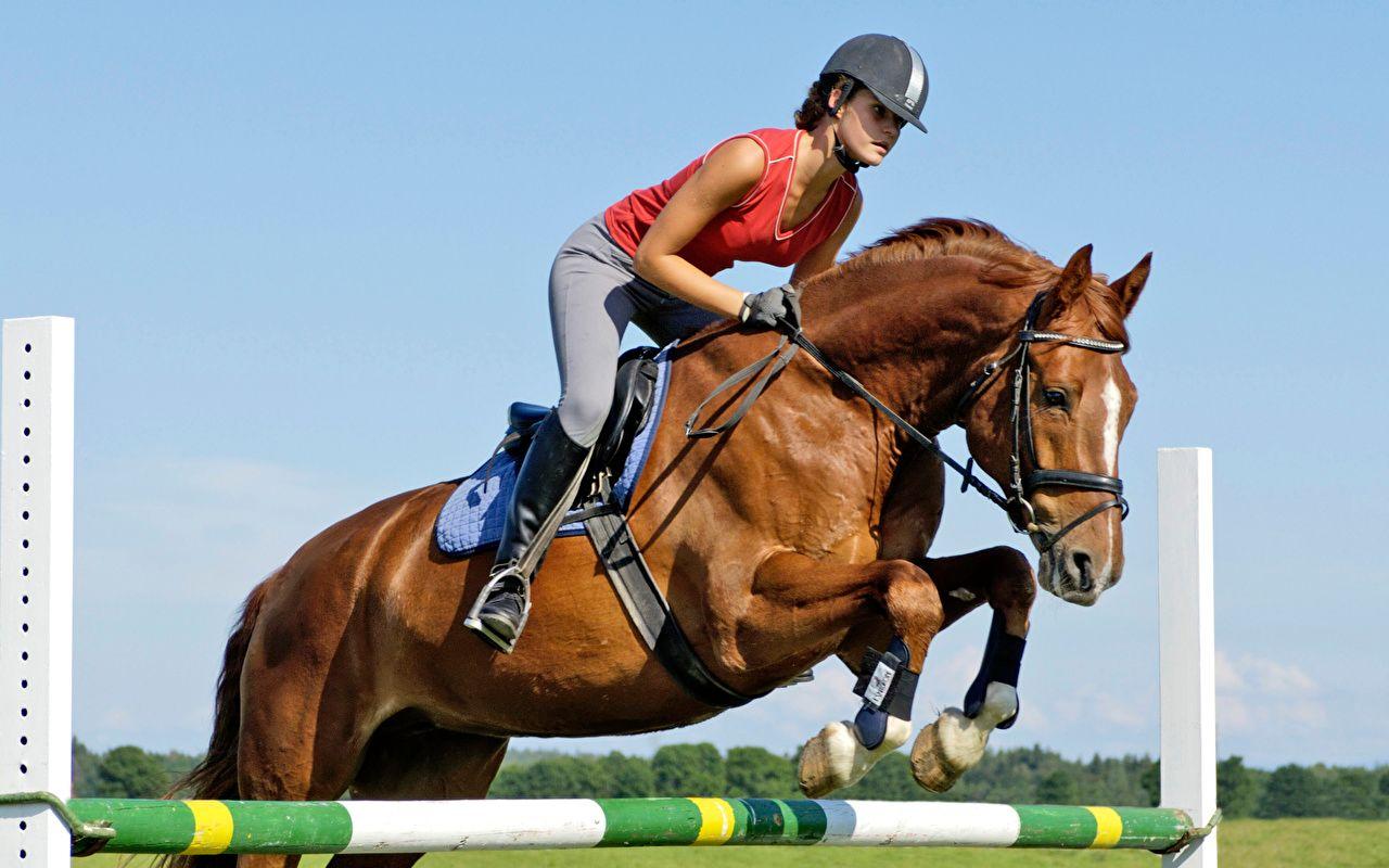 南非运动员在赛马项目中斩获胜利