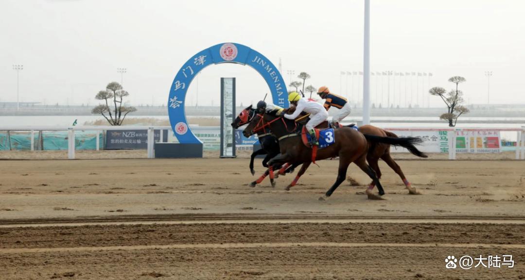 南非运动员在赛马项目中斩获胜利