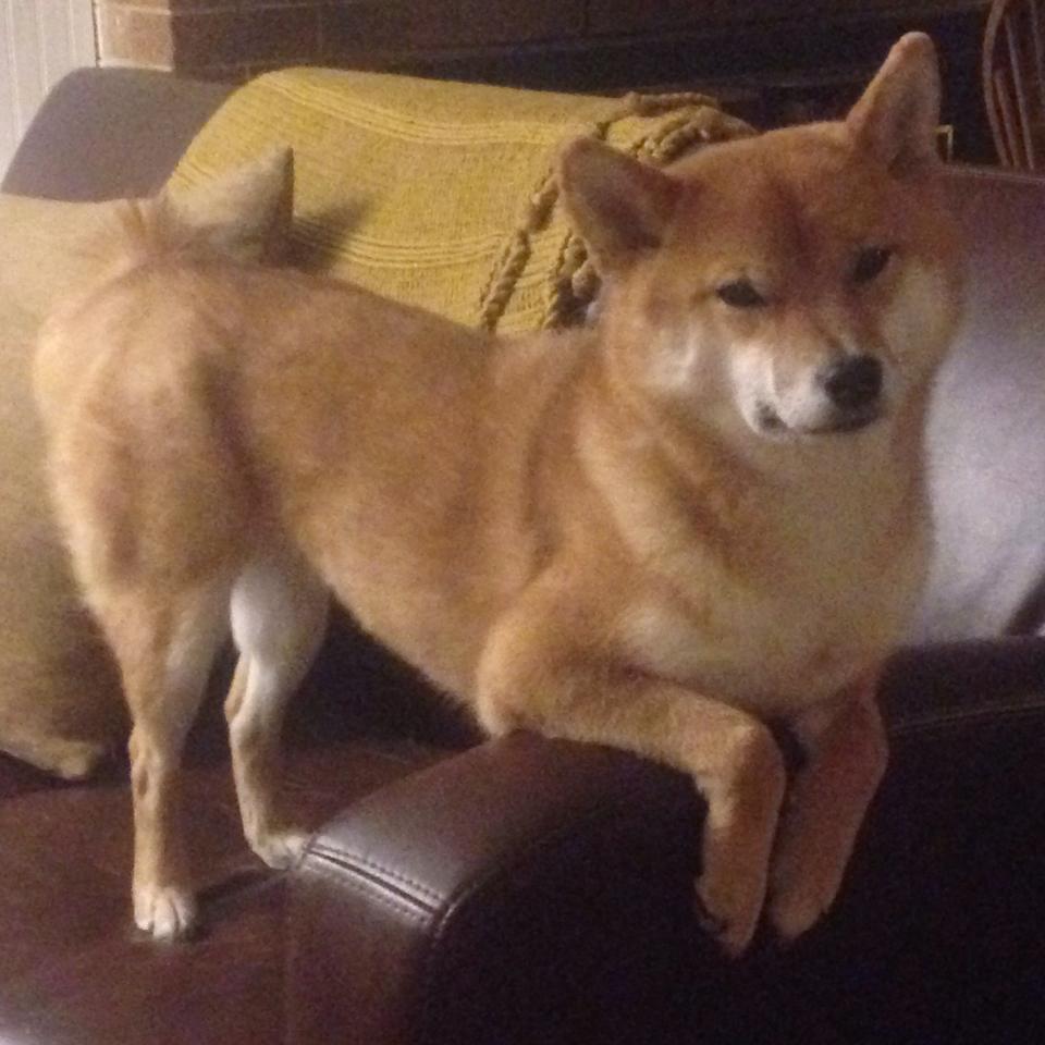 奥运周期关键战启示录，从马里绝杀皇马看体育世界的不可能与必然