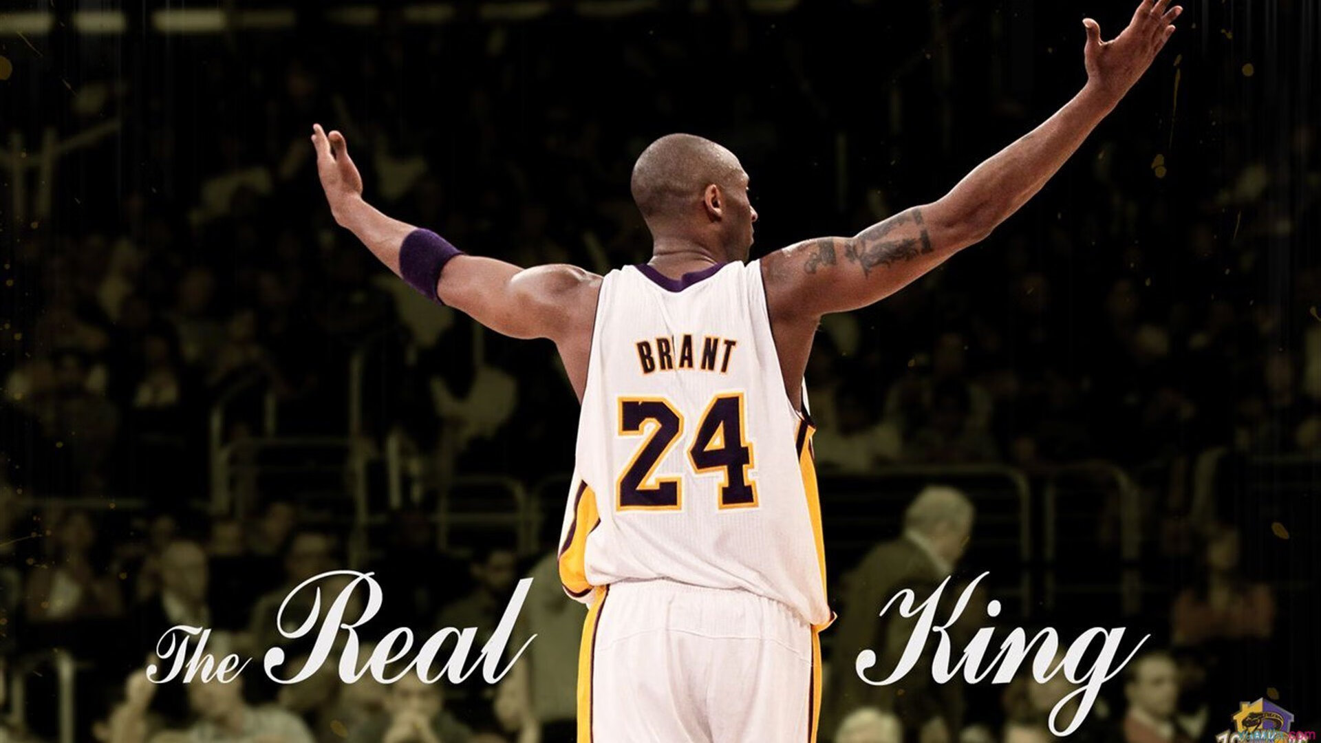 赛道奇迹，汉密尔顿驾驶迈凯伦上演惊天翻盘，红牛王朝遭遇最强挑战